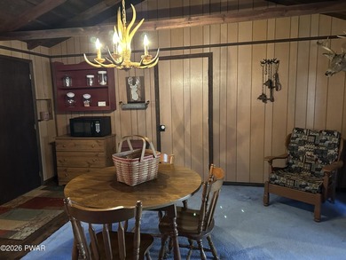 Pecks Pond Lakefront Cabin with views and access to Pecks Pond! - photo 19