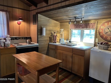 Pecks Pond Lakefront Cabin with views and access to Pecks Pond! - photo 25