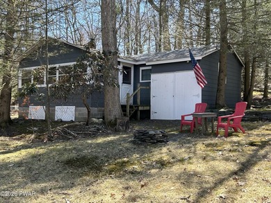 Pecks Pond Lakefront Cabin with views and access to Pecks Pond! - photo 46