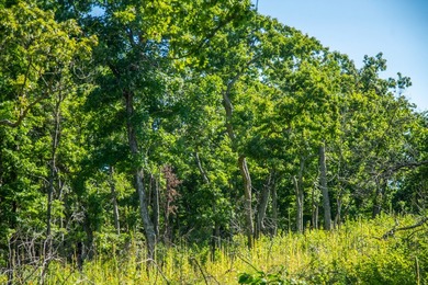 Situated just minutes from Warsaw, this remarkable 362+/- acre - photo 47