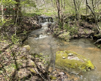 Situated just minutes from Warsaw, this remarkable 362+/- acre - photo 48