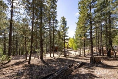 Navajo Lake Lot For Sale in Duck Creek Village Utah