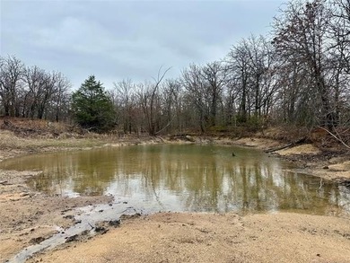 40 acres! Wooded tract with trails, open meadows and a pond - photo 1