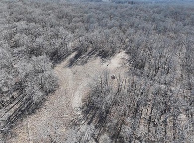 40 acres! Wooded tract with trails, open meadows and a pond - photo 3