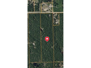 40 acres! Wooded tract with trails, open meadows and a pond - photo 4