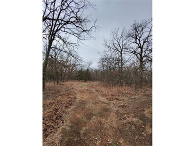 40 acres! Wooded tract with trails, open meadows and a pond - photo 5