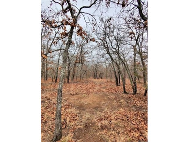 40 acres! Wooded tract with trails, open meadows and a pond - photo 6