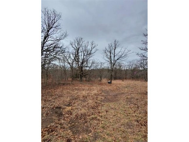 40 acres! Wooded tract with trails, open meadows and a pond - photo 7