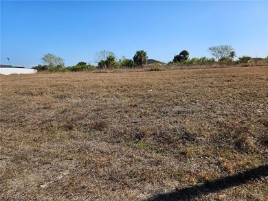 HUGE PRICE REDUCTION!!! BUILDERS and INVESTORS FRESHWATER LOT!! - photo 4