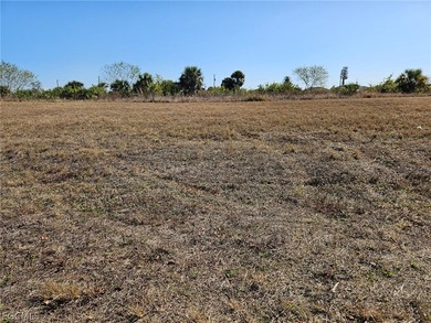 HUGE PRICE REDUCTION!!! BUILDERS and INVESTORS FRESHWATER LOT!! - photo 6