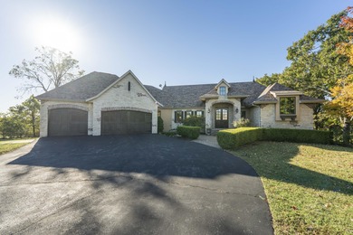 Lake Home For Sale in Blue Eye, Missouri