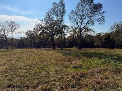 Cedar Creek Lake Acreage For Sale in Eustace Texas