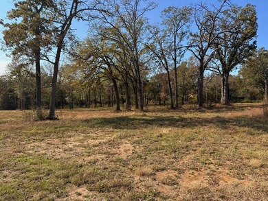 Prime 5.66-Acre Tract on US Highway 175 in Eustace - A Rare - photo 4