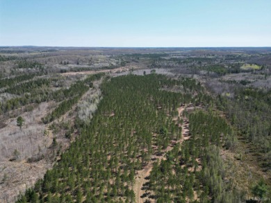 Lake Acreage Off Market in Vulcan, Michigan