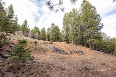 Navajo Lake Lot For Sale in Duck Creek Village Utah