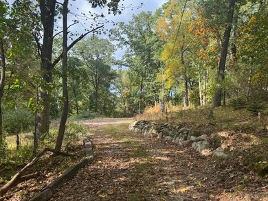 (private lake, pond, creek) Acreage For Sale in Chelsea Michigan