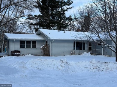 (private lake, pond, creek) Home Sale Pending in Whited Twp Minnesota