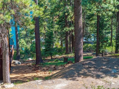 Have a look at this rare, large residential lot for sale at - photo 12
