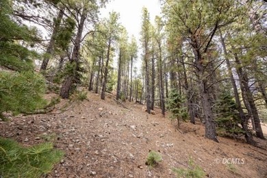 Navajo Lake Lot For Sale in Duck Creek Village Utah