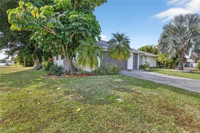 Welcome to this beautifully maintained southern-facing corner - photo 5