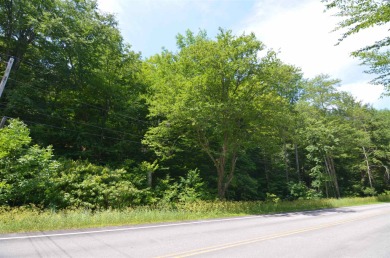 Lake Lot Off Market in Plymouth, Vermont