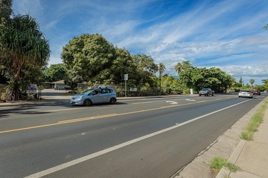 ALSO LISTED AS VACANT LAND, MLS# 408360. 1746 South Kihei Road - photo 5