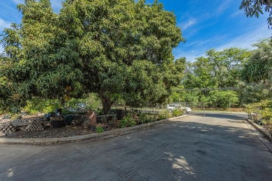 ALSO LISTED AS VACANT LAND, MLS# 408360. 1746 South Kihei Road - photo 10
