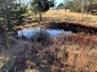 Great buy on a 2,000 sq ft home (3 bdrm/2 bath) fronting scenic