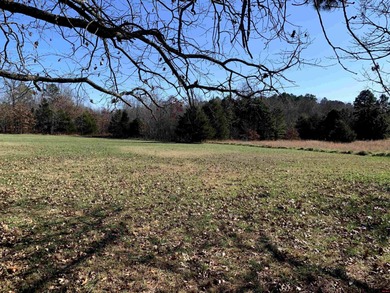 Great buy on a 2,000 sq ft home (3 bdrm/2 bath) fronting scenic