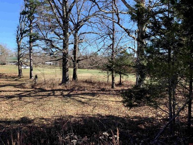 Great buy on a 2,000 sq ft home (3 bdrm/2 bath) fronting scenic