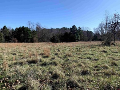 Great buy on a 2,000 sq ft home (3 bdrm/2 bath) fronting scenic