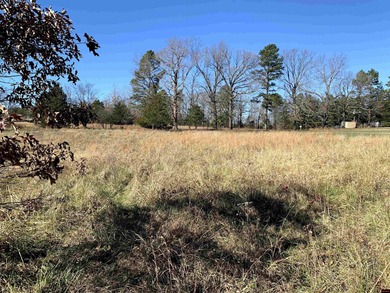 Great buy on a 2,000 sq ft home (3 bdrm/2 bath) fronting scenic