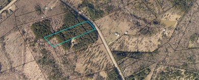 10 Acres in desirable Lincoln County. Perfect tract for - Lake Acreage Sale Pending in Lincolnton, Georgia