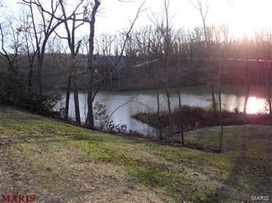 (private lake, pond, creek) Lot For Sale in Warrenton Missouri