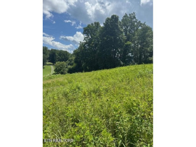 Lake Acreage For Sale in Rocky Top, Tennessee