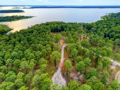 Lake Lot For Sale in Brookeland, Texas
