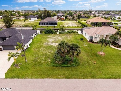 LOWEST PRICED GULF ACCESS LOT SOUTH OF VETERANS PKWY! One of the - photo 13