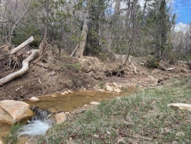 Navajo Lake Lot For Sale in Duck Creek Village Utah