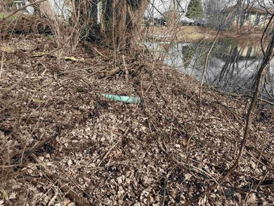 Great opportunity to build on this lot close to town and with an - photo 4