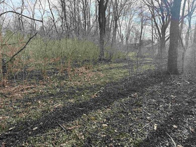 Great opportunity to build on this lot close to town and with an - photo 5