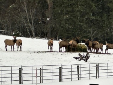 20+ acres located in the heart of Whitefish, Montana's - photo 11