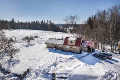 20+ acres located in the heart of Whitefish, Montana's - photo 20