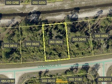 Lehigh Acres Area Lot For Sale in Lehigh Acres Florida