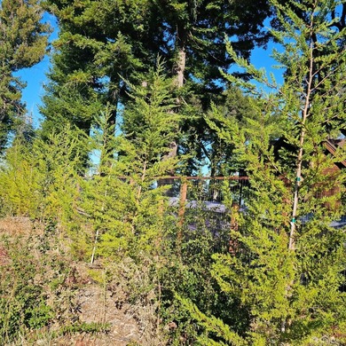 Live off grid but not cut off from civilization. Flat Lot. Build - photo 5