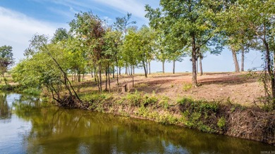 (private lake, pond, creek) Acreage For Sale in Mayflower Arkansas