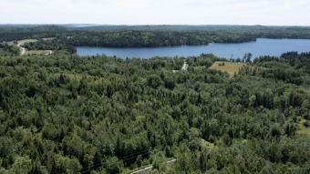 Enjoy your summers with unlimited lake access via the large - photo 11