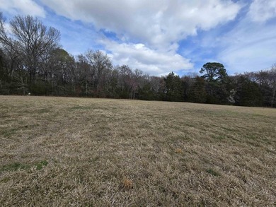 Location great for an AI generation plant. DATA CENTER?? Premier - photo 3