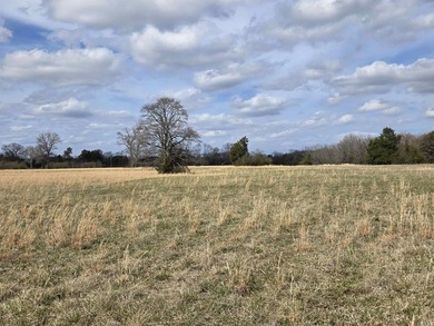 Location great for an AI generation plant. DATA CENTER?? Premier - photo 5