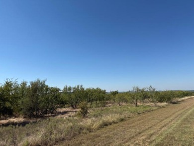 Five level acres ready to build on in The Hills Above Possum - photo 15