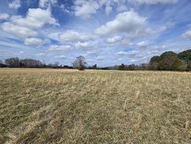 Location great for an AI generation plant. DATA CENTER?? Premier - photo 6